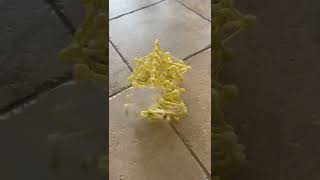 Theo Jansen's Strandbeest Model
