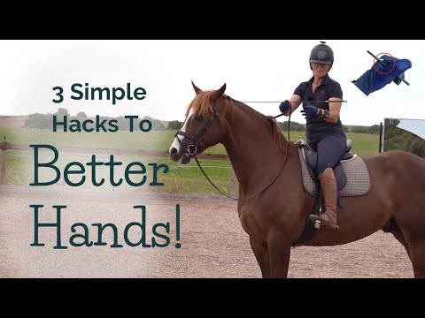 ვიდეო: სინთეტიკური ცხენის შეკავების მარტივი გზები ჩახლართვისგან: 14 ნაბიჯი
