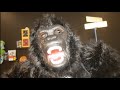 Albert gorilla