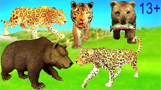 Big Cat Week 2020 - Zoo Animals - Tiger, Leopard, Clouded Leopard, Grizzly Bear, White Tiger 13+