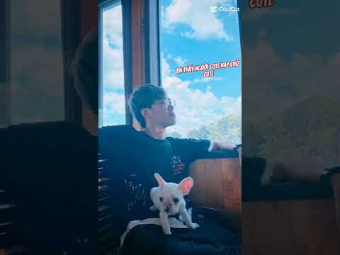 ❤️teem Dương kc