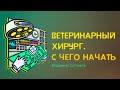 Ветеринарный хирург. С чего начать