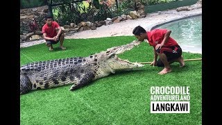 Crocodile Adventureland Langkawi | Giant Crocodile Show | Crocodile Feeding | Pic with Crocodile