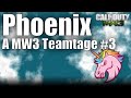 A mw3 teamtage 3  pheonix