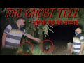 Yeh kya tha  the ghost tree  jassi sandhu vlogs