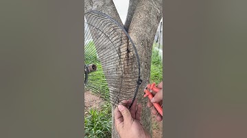 Ele precisava de uma ferramenta e criou a própria #DIYBrasil  #ImprovisoGenial #FerramentaCriativa