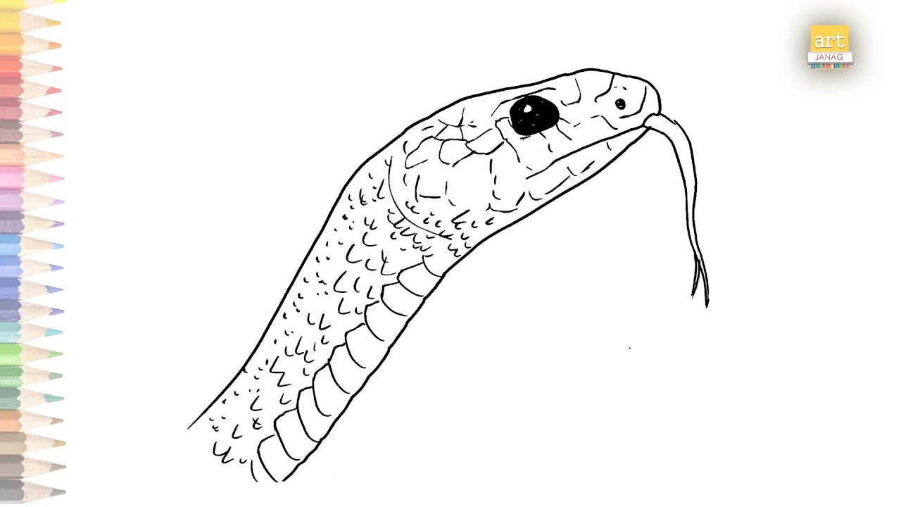 how to draw a realistic snake head