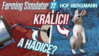 KRÁLÍCI & HADICE K CISTERNĚ? | Farming Simulator 22 Hof Bergmann #13