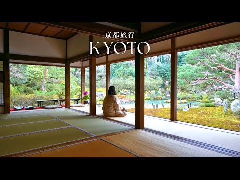 【Kyoto Trip】大人の京都ひとり旅｜町家カフェや京うどんなど沢山食べた3日間