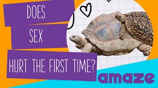 Does Sex Hurt the First Time? #AskAMAZE