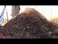 Cleaning quail cages and composting the manure