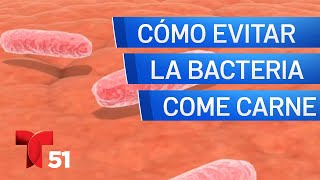 Bacteria come carne: todo lo que necesitas saber