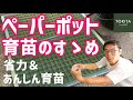 【家庭菜園】ペーパーポット育苗は良いことがたくさん！オススメの理由を解説【農業】