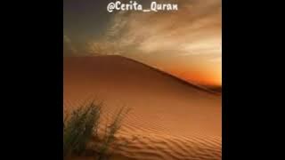 Status Wa Cerita Quran YASIN Suara Merdu