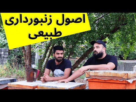 آموزش زنبورداری اصول زنبورداری طبیعی