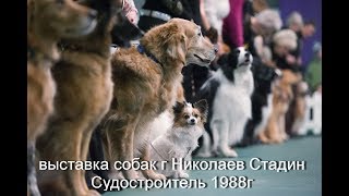 Выставка собак г Николаев стадион Судостроитель 1988г