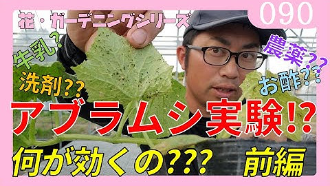 牛乳スプレー Youtube