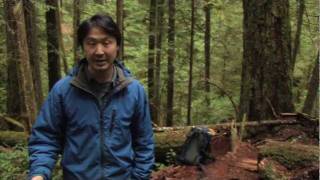 Ken Wu of Ancient Forest Alliance on Cortes Island Logging