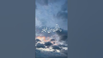 سورة الرعد - د/عادل احمد زكي