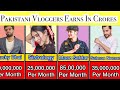 Pakistani youtube vloggers earn in croresfamous pakistani youtubers incomegossips wali sarkar