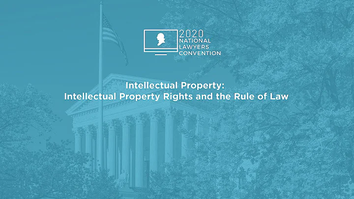 Intellectual Property Rights and the Rule of Law [2020 National Lawyers Convention] - DayDayNews