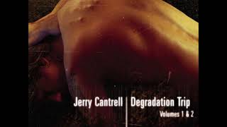 Jerry Cantrell - Psychotic Break