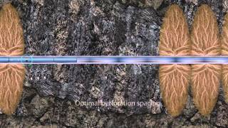 FRACTUREVISION Proppant-delivered Fracture Evaluation Service
