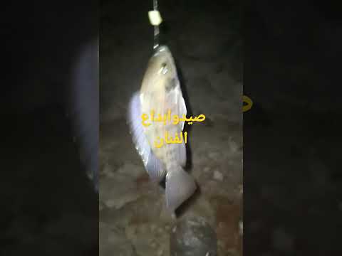 اما تزفر دور المكرونه صح تبقى هى دى النتيجه تشتغل معاك بليل ترعه الإسماعيلية مسطرد الهوايه