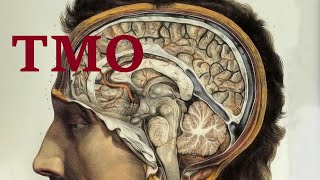 Диагностика тела через ТМО (твердая мозговая оболочка) и ее релакс. Остеопатический  подход. Теория.
