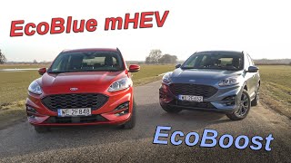 Ford Kuga - benzyna czy diesel? Ten TEST pomoże Ci podjąć decyzję!