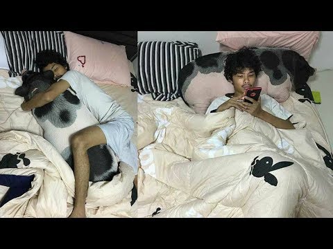6 thú cưng bá đạo của người Việt