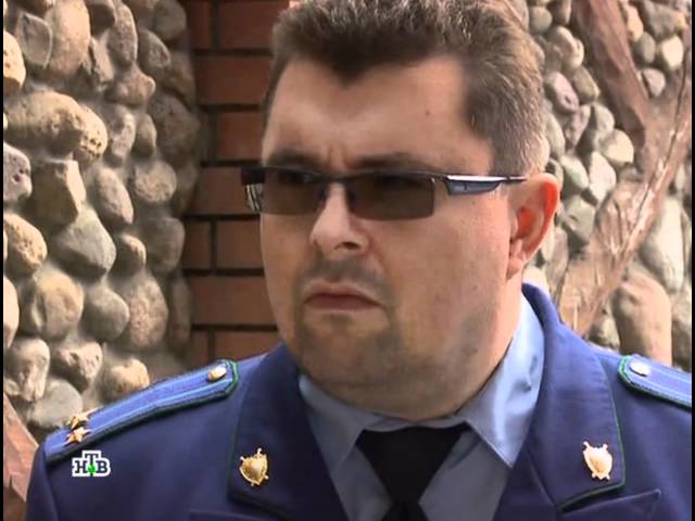 Прокурорская проверка шуточка. Прокурорская проверка шуточка. Прокурорская проверка шуточка. Прокурорская проверка мир не без добрых людей. Прокурорская проверка шуточка.