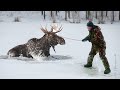 От этого видео замирает сердце. Спасение диких животных из ледяного плена.