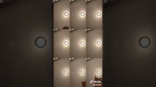 Mr Sandman Cat Adorable Kitty