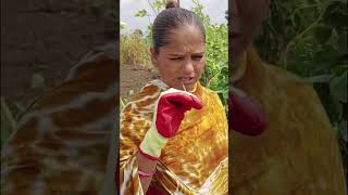 गावरान भेंडी भाजी😍#minivlog #army #reels #geography #usa #canada #vlog #vietnam #recipe #viralvideo