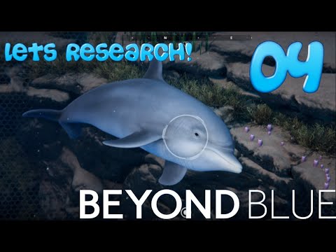 BEYOND BLUE GAMEPLAY Ep 4: A group of starfish, more playful dolphins, and a grumpy Octopus! - YouTube