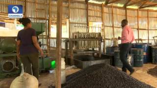 BOI Weekly: Eye On Agro-processing Industries Pt.1