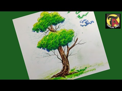 Featured image of post Easy Tree Drawing For Kids With Colour / Follow the simple instructions and in no time you&#039;ve created a great looking tree drawing.