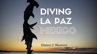 Scuba Diving in the Sea of Cortez, La Paz, Mexico