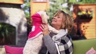 Carolyn Gracie's Battle With Breast Cancer