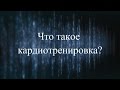 Как применять кардио при корректировке фигуры в тренажёрном зале