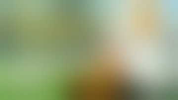 How to get guaranteed pgsharp beta key with official key timmings | New trick to get pgsharp keys |