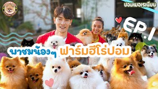 จัดเต็มกับการพาชมฟาร์มฮีโร่ปอม กับน้องๆ Pomeranian น่ารักๆมากมาย EP.1