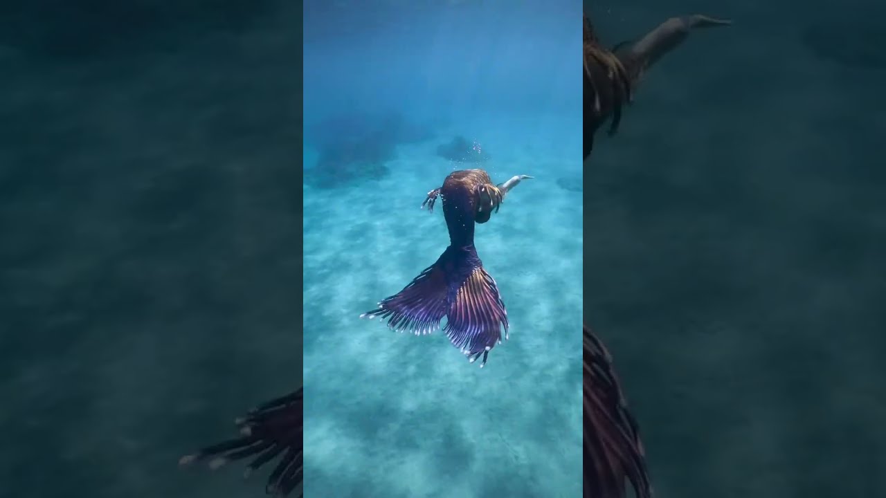 Mermaid Swimming In The Ocean Professionalmermaid Mermaidtail