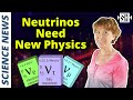 Musk is right neutrinos are evidence for new physics