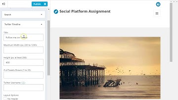 WordPress Twitter Integration