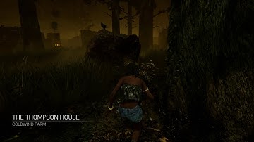 Dbd Bug, Invisible Skill Checks...
