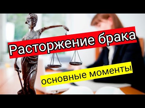 Развод с адвокатом читать полностью