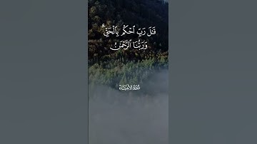 قال ربى احكم بِالحق🙏❤🥀سورة #الأنبياء #القرآن_الكريم #صوت_جميل  #اكسبلور