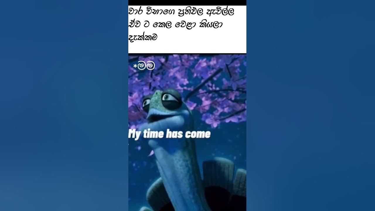 my-time-has-come-oogway-memes-youtube